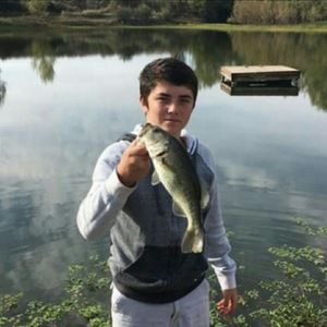 Meet your Posher, Casey